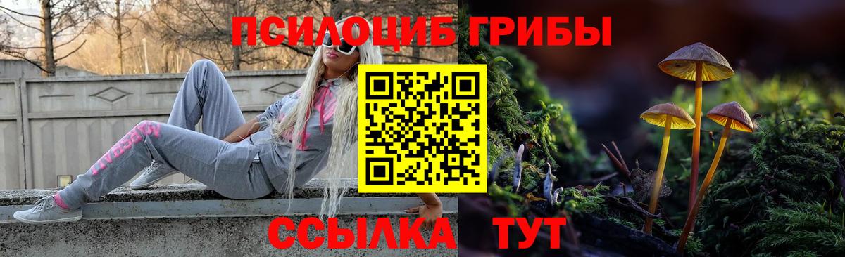 купить наркотик  Псилоцибиновые грибы Psilocybe  Вход с VPN  Тимашёвск 